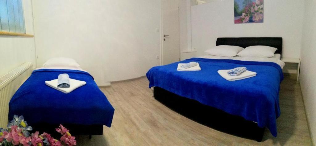 Apartma As Lesce  Ngoại thất bức ảnh