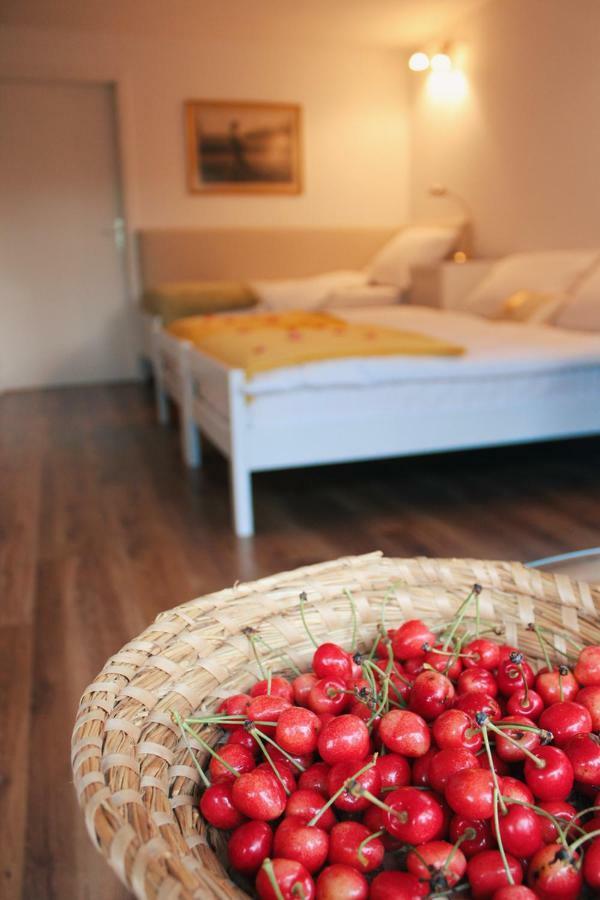 Apartma As Lesce  Ngoại thất bức ảnh